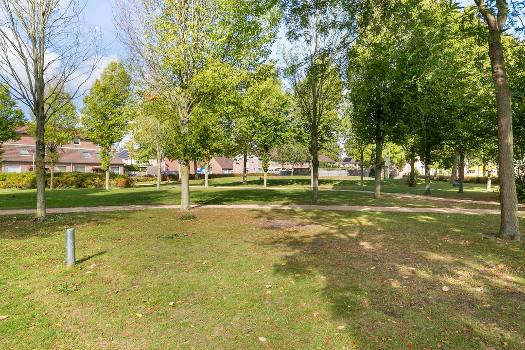 Photo 28 of Dallelaan 27