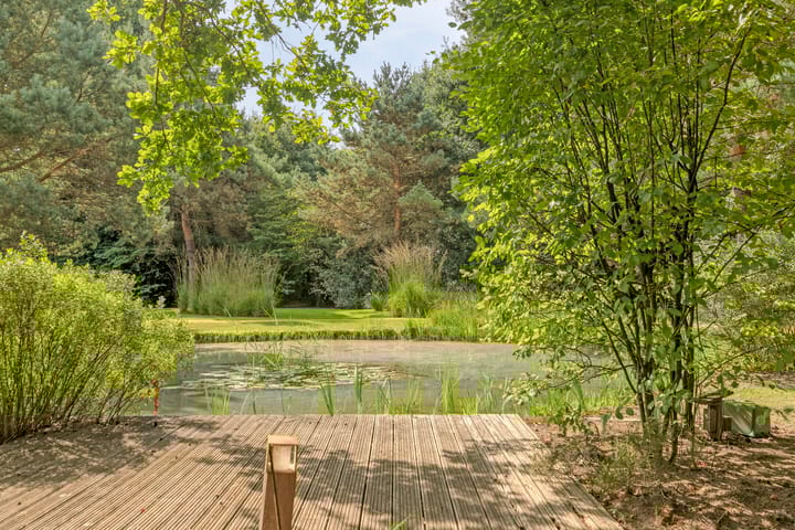 Foto 16 van Sondervick 57