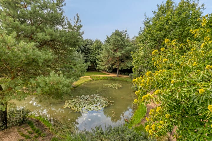 Foto 49 van Sondervick 57