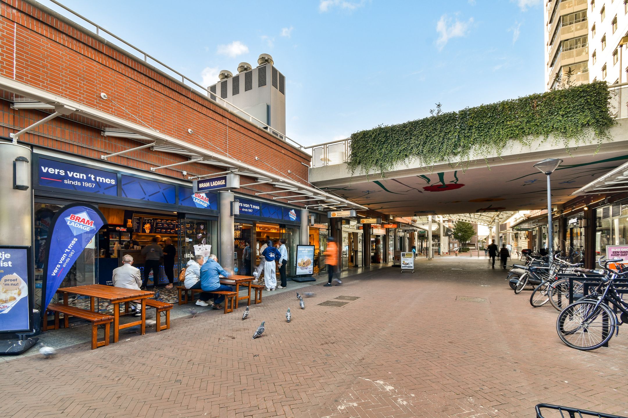 Foto 24 van Hogewerf 13