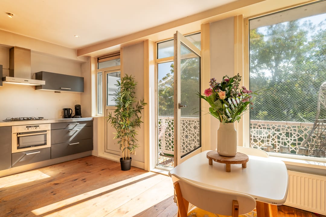 Foto 8 van Eerste Jan van der Heijdenstraat 118-3