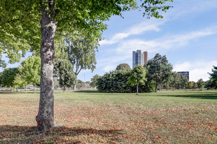 Photo 44 of Keizersmantelweg 355