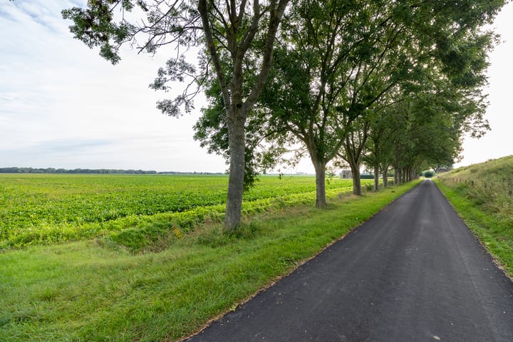 Foto 77 van Westdijk 4