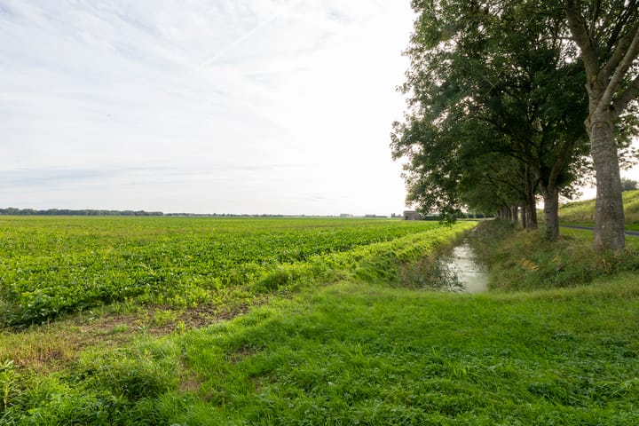 Foto 78 van Westdijk 4