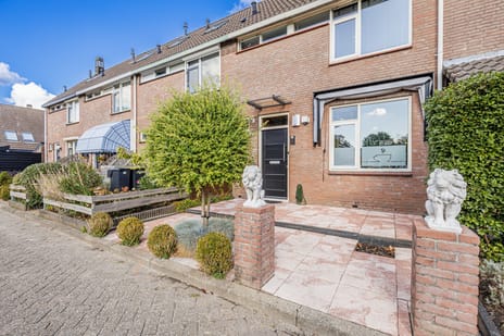 undefined main image