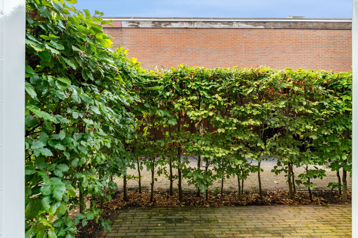 Foto 25 van Schoutenstraat 2-B