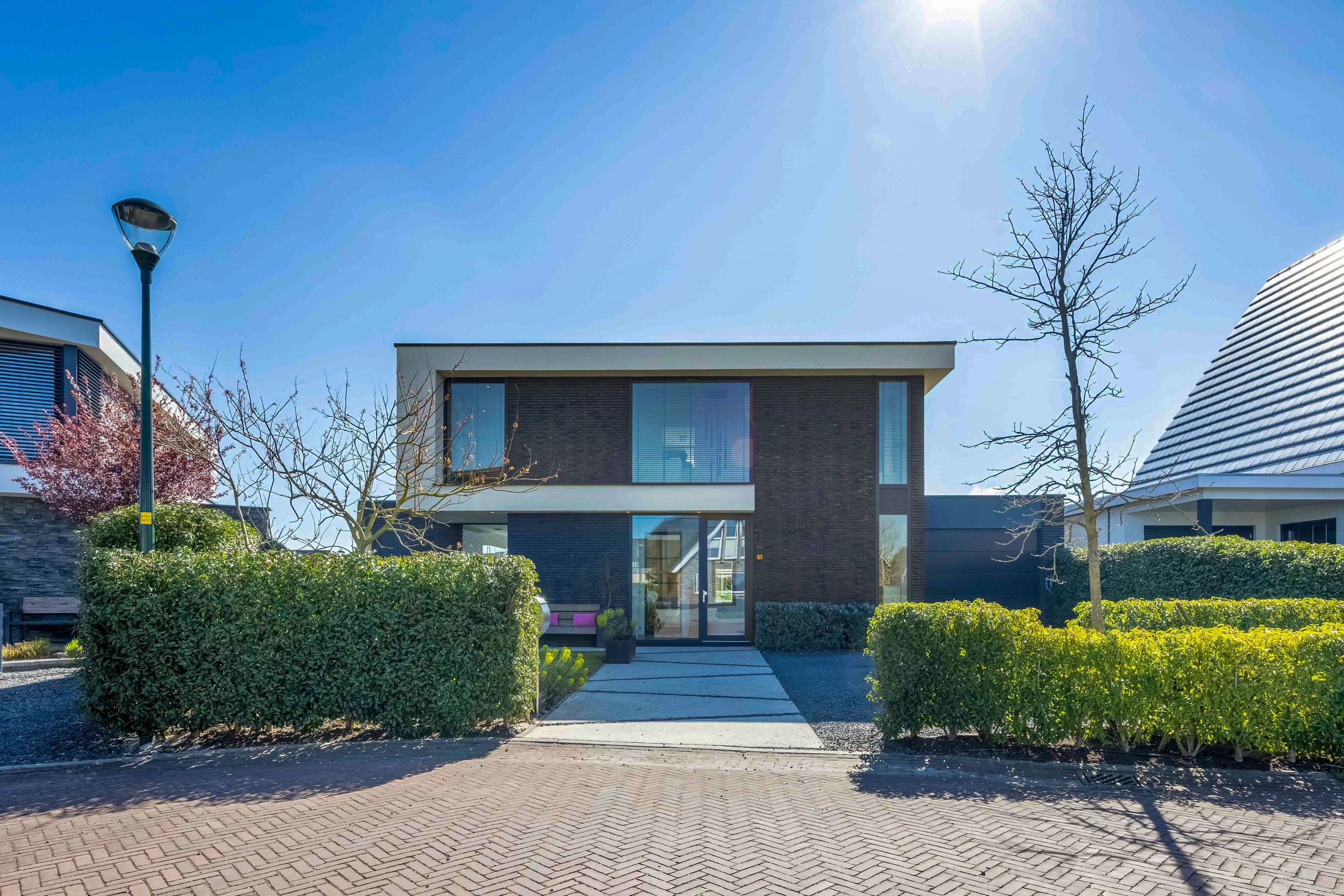 Foto 6 van Laantje van Bruijn 29