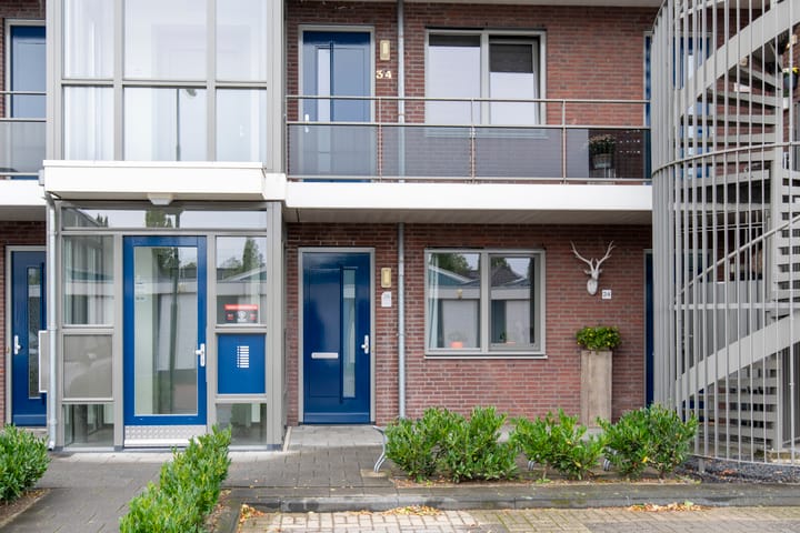 Foto 7 van Vlindertuin 26