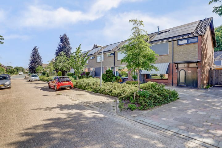 Foto 35 van Cronjéstraat 63