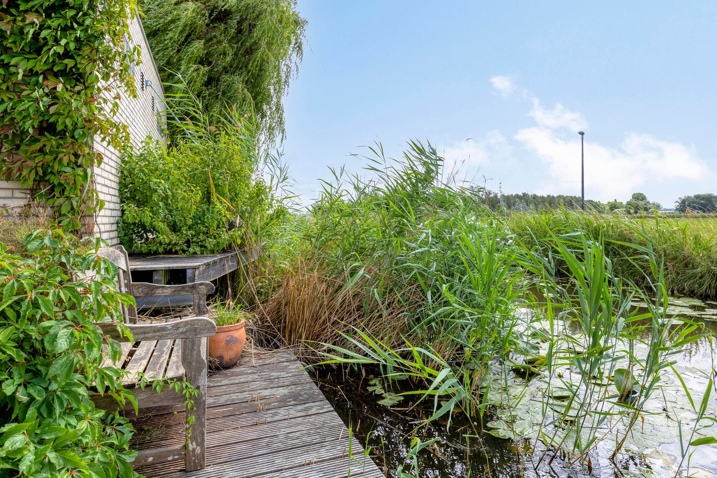 Foto 35 van Maria Rutgersweg 94