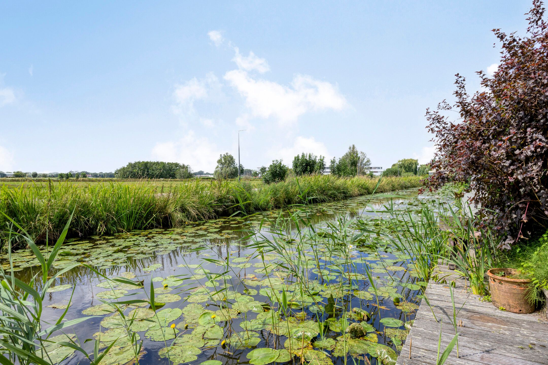 Foto 36 van Maria Rutgersweg 94