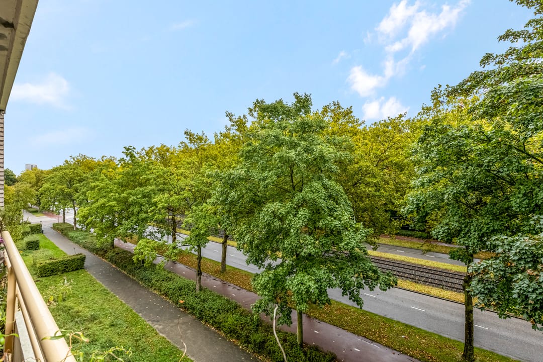 Foto 23 van Livingstonelaan 148