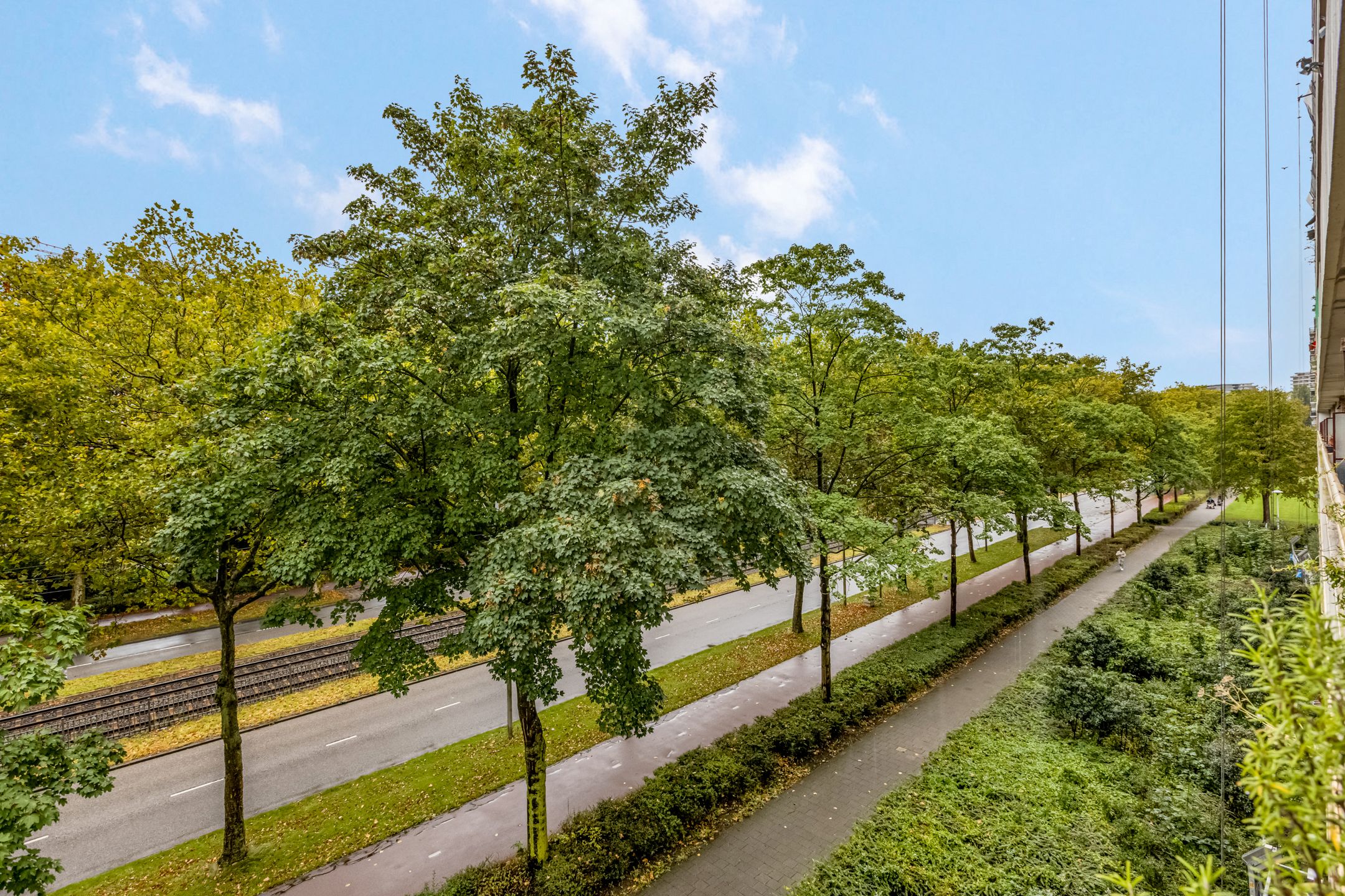 Foto 24 van Livingstonelaan 148