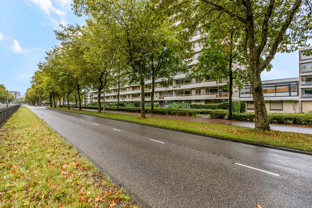 Foto 26 van Livingstonelaan 148