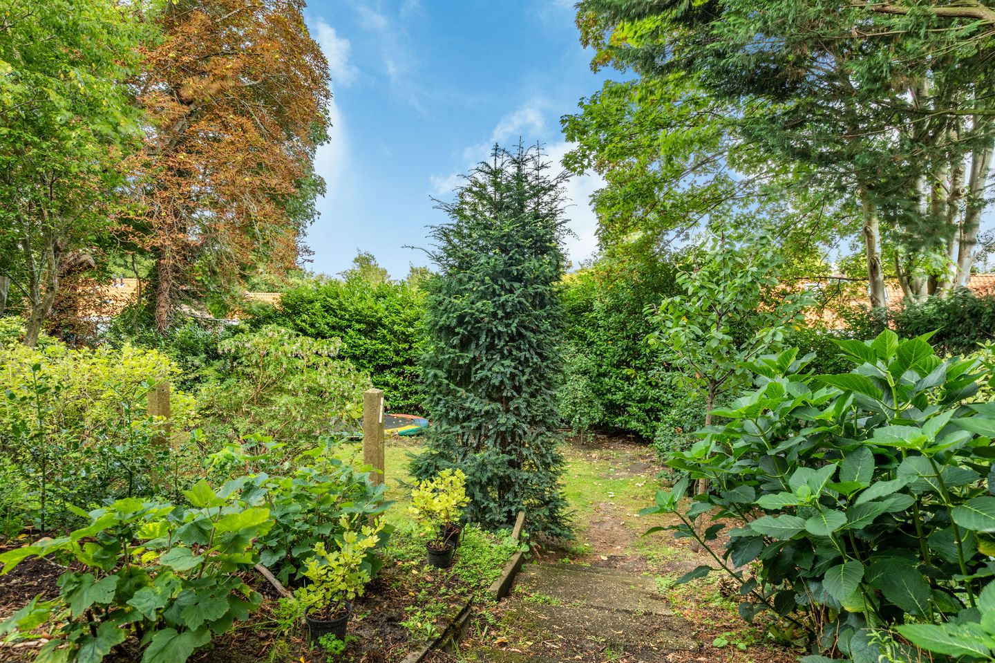 Foto 35 van Johan Verhulstweg 54