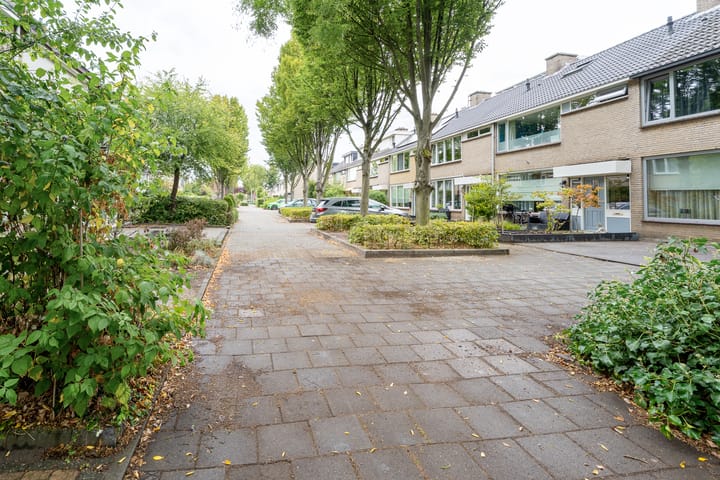 Photo 31 of Sterrebos 60