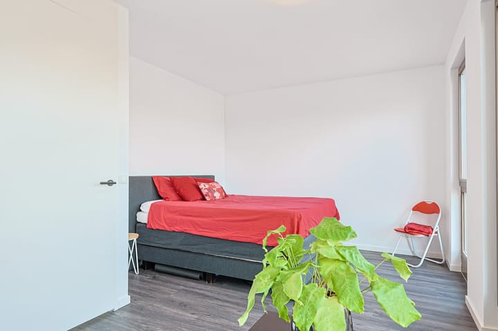 Foto 50 van Lavendellaan 152