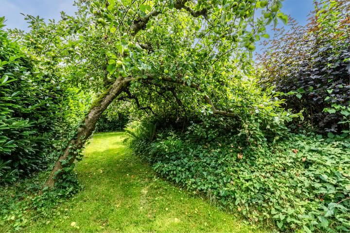 Foto 49 van Zwaagweg 29