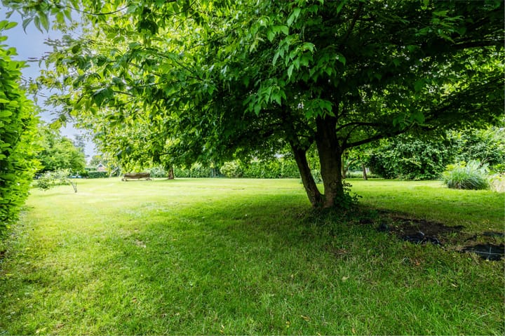 Foto 51 van Zwaagweg 29