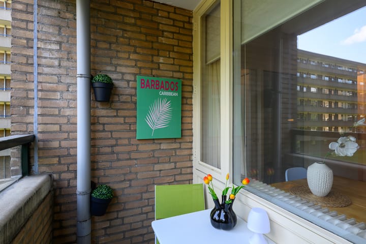 Foto 12 van Lijtweg 104