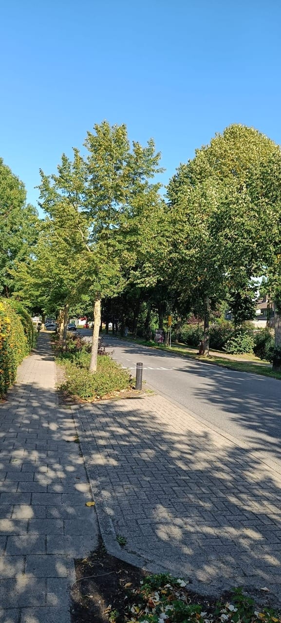 Foto 45 van Broekzijdselaan 15