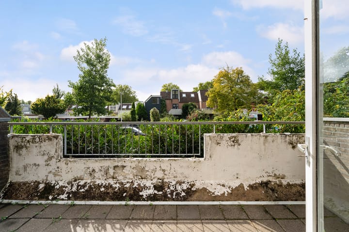 Foto 6 van Wingerdpark 62