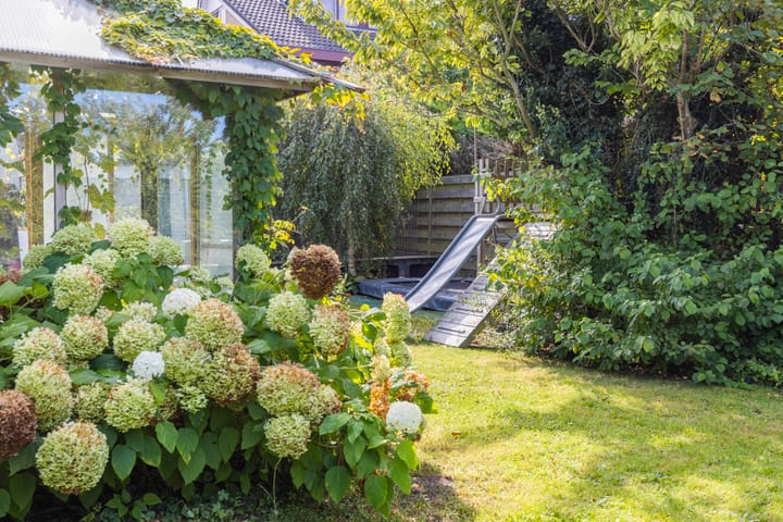 Foto 45 van Professor Zeemanstraat 27