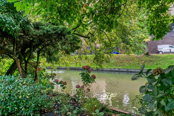 Foto 50 van Konijnenwal 41