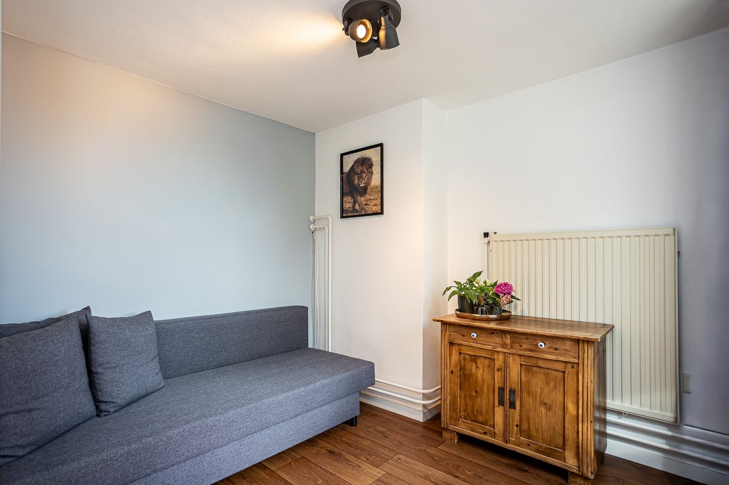 Foto 35 van Lindeboom 46