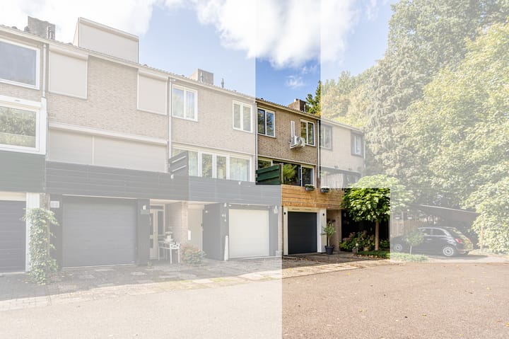 Foto 2 van Lindeboom 46