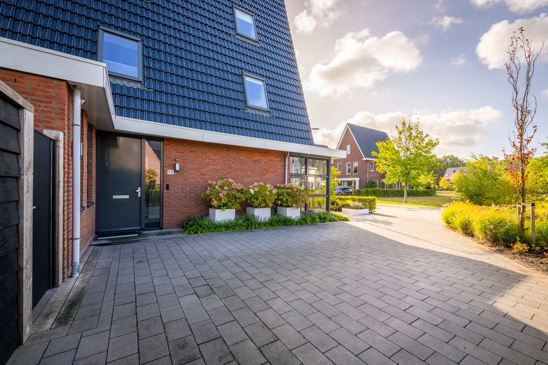 Foto 61 van Samuel de Marezhof 99