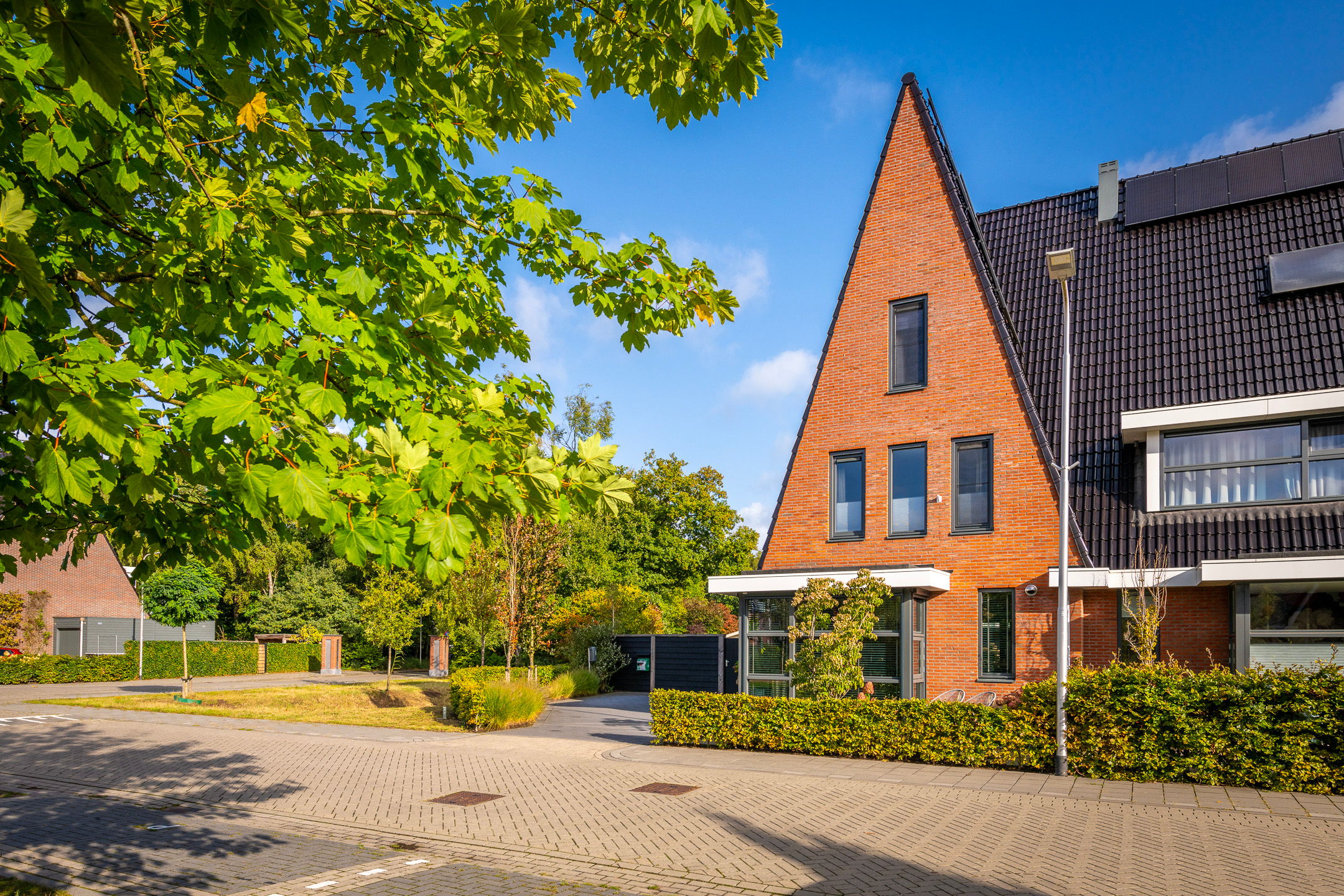 Foto 69 van Samuel de Marezhof 99