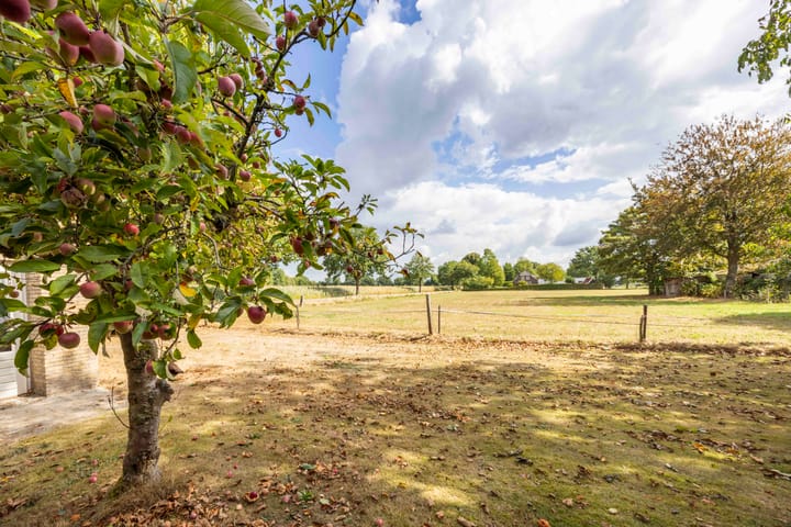 Foto 32 van Kerkhovenbaan 4