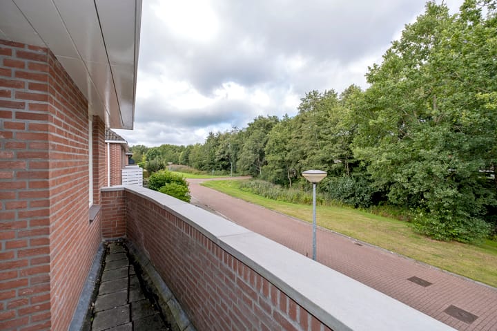 Foto 37 van Zilverschoon 16