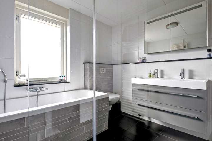 Foto 41 van Zilverschoon 16