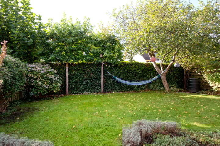 Foto 47 van Zilverschoon 16