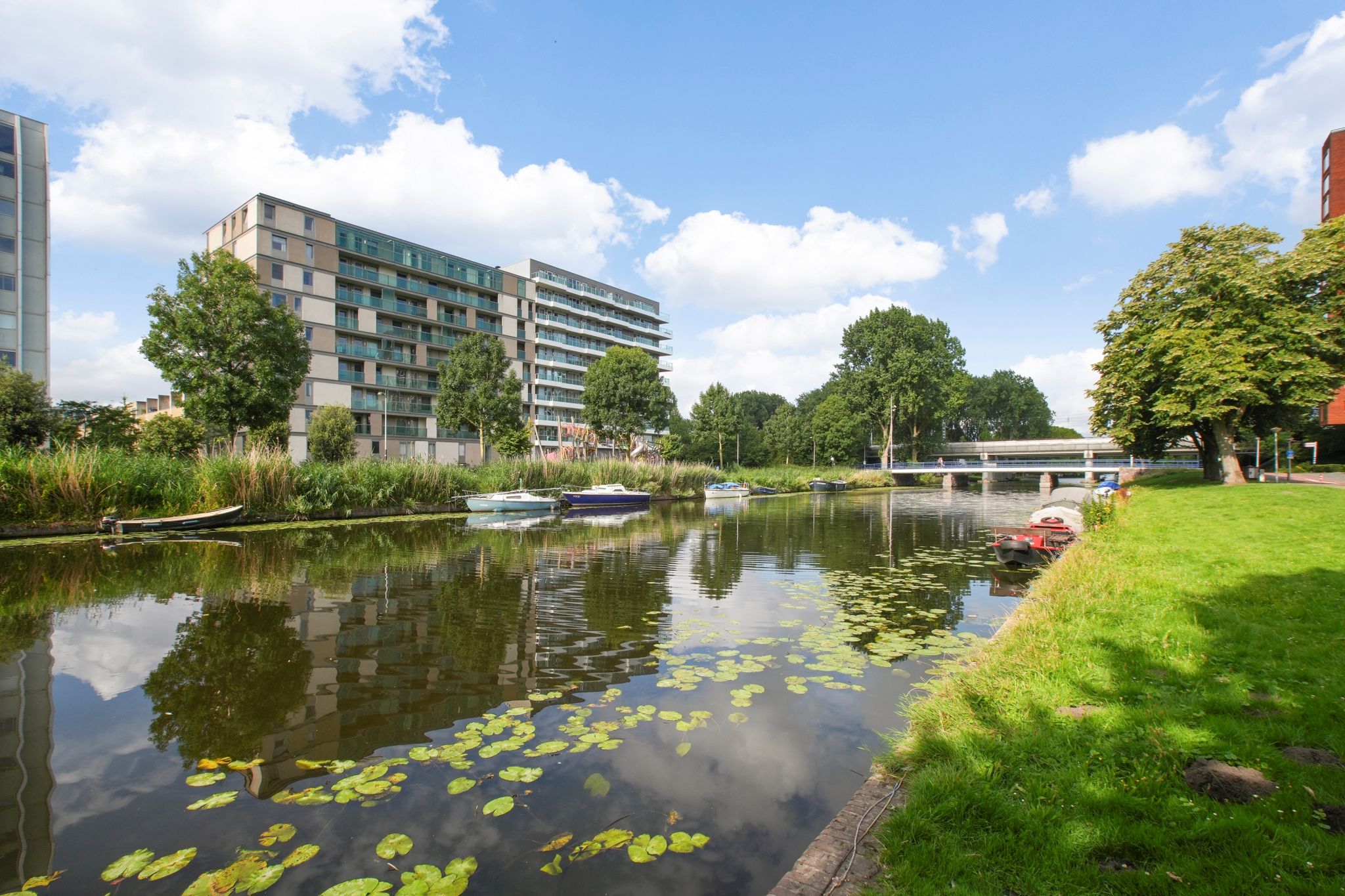 Photo 21 of Blauwvoetstraat 17