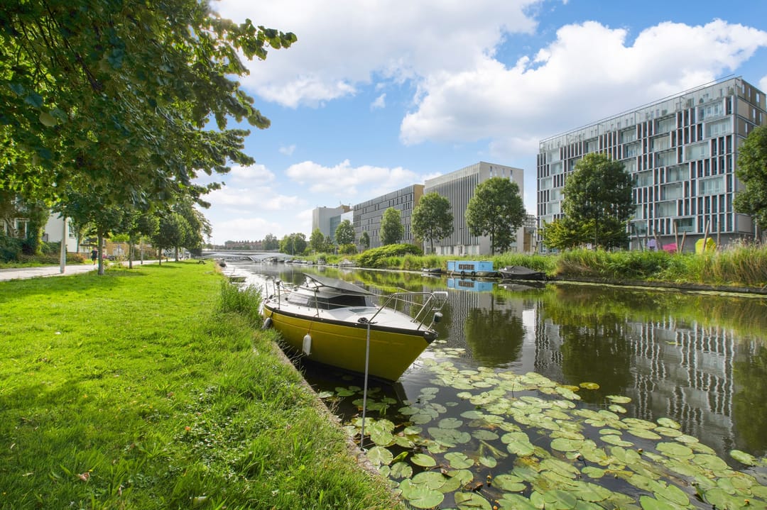 Photo 23 of Blauwvoetstraat 17