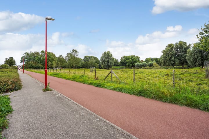 Foto 26 van Ponyweide 92