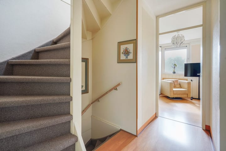 Foto 46 van Ponyweide 92