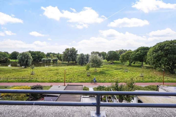 Foto 66 van Ponyweide 92