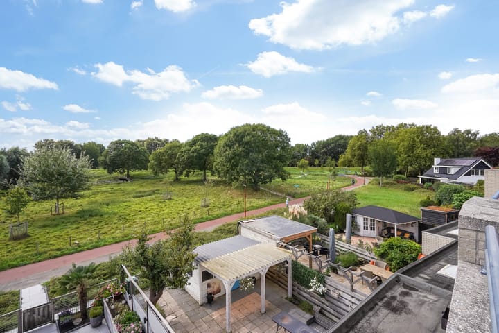 Foto 68 van Ponyweide 92