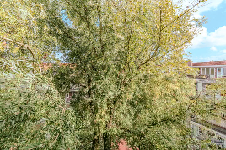 Foto 22 van Columbusplein 10-3