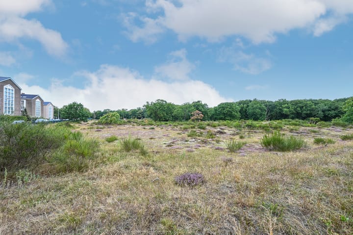 Foto 46 van Ridderspoorweg 252