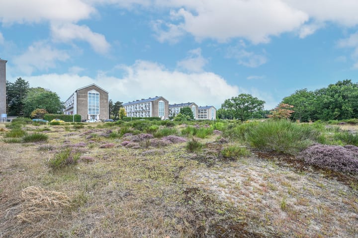 Foto 47 van Ridderspoorweg 252