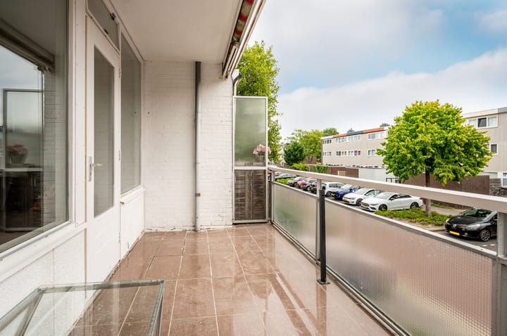 Photo 16 of Strand 43