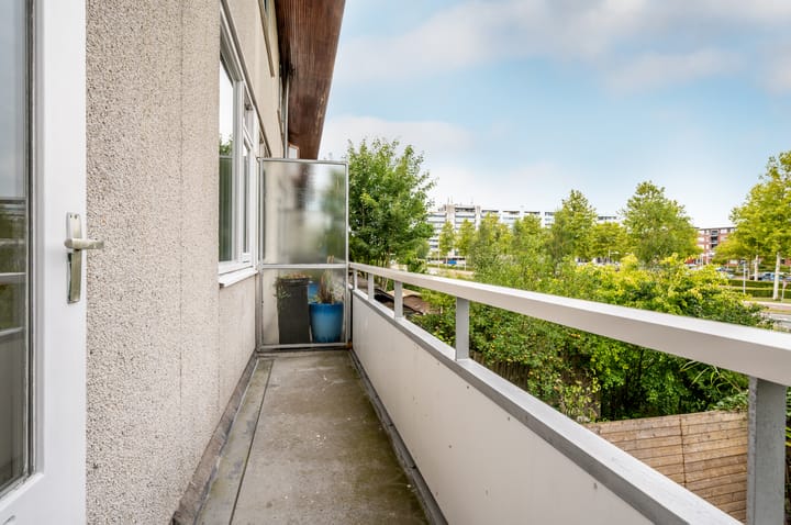 Photo 21 of Strand 43