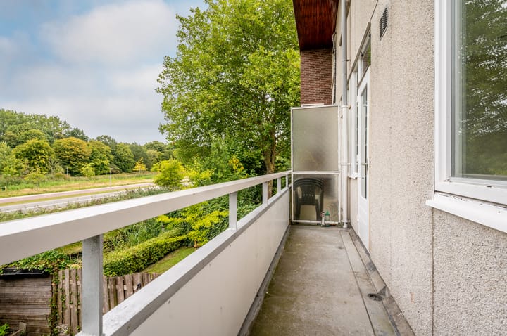 Photo 22 of Strand 43