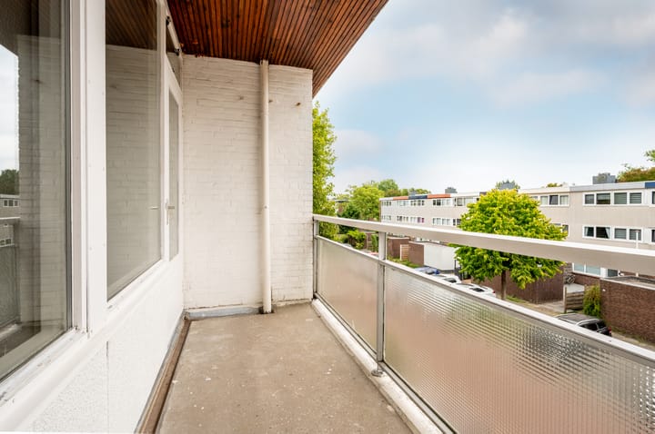 Photo 35 of Strand 43