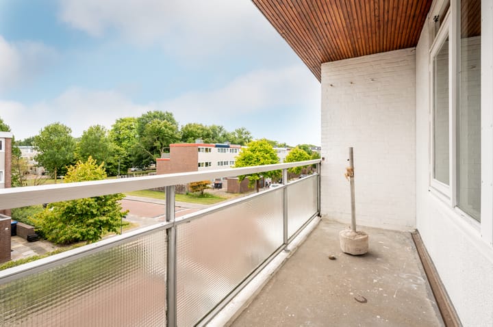 Photo 36 of Strand 43